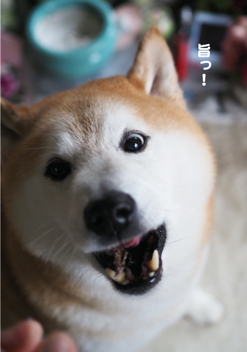 21日ブログ５