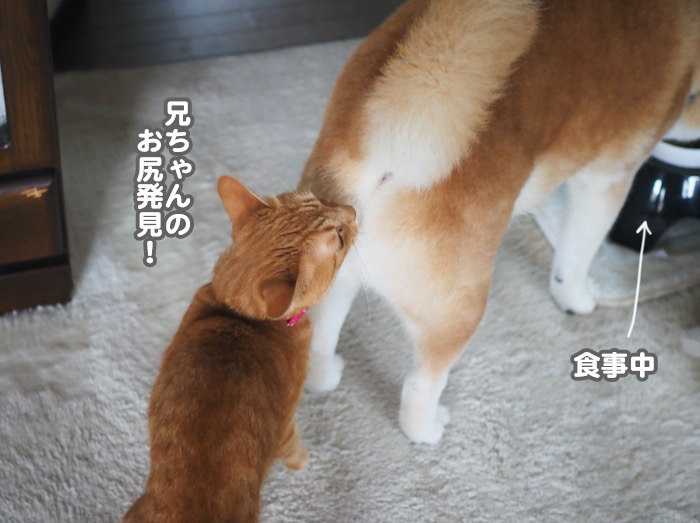 9日夕ブログ３