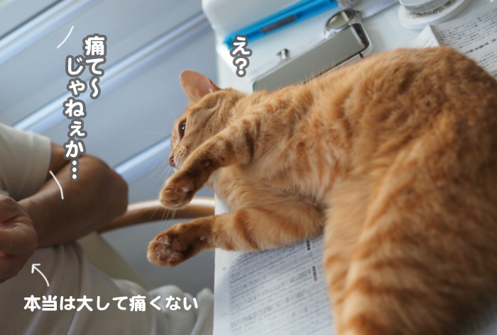 3日夕ブログ６