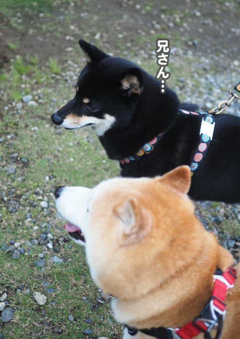 10日夕ブログ５