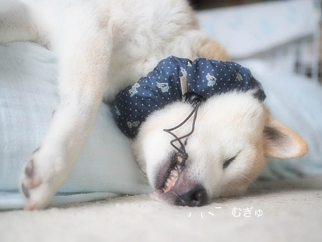 25日ブログ7