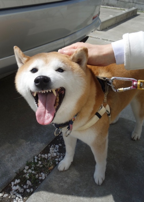 11日午後ブログ１