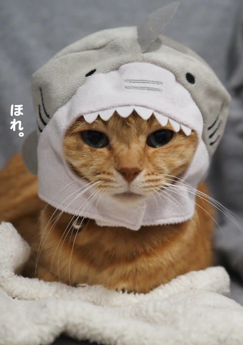 30日夕ブログ５