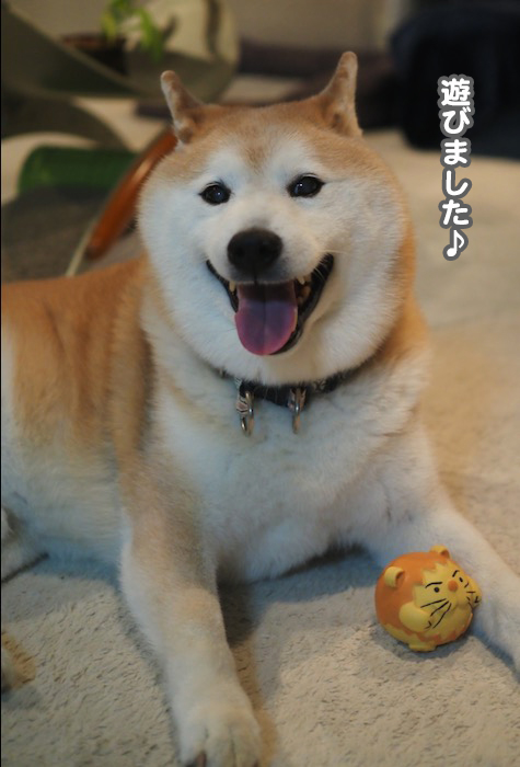 2日夕ブログ２