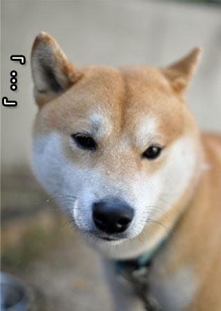 28日ブログ12.jpg