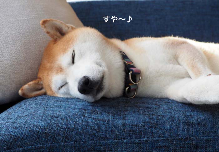 10日ブログ１