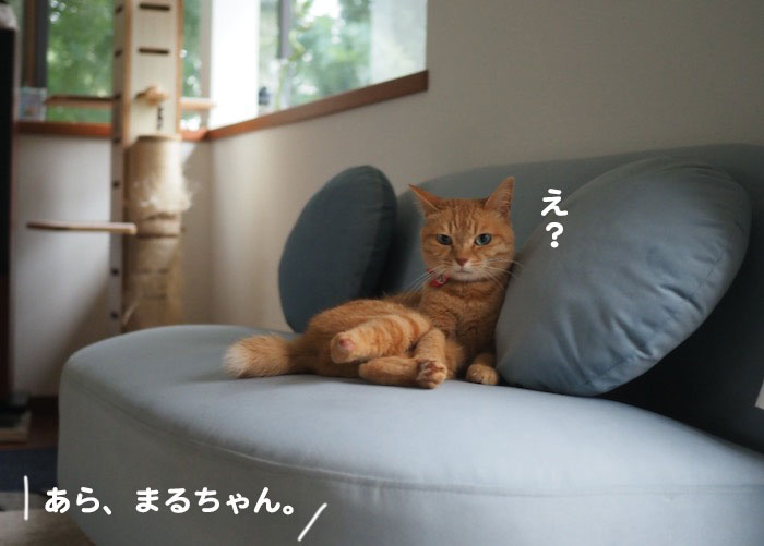 10日夕ブログ２