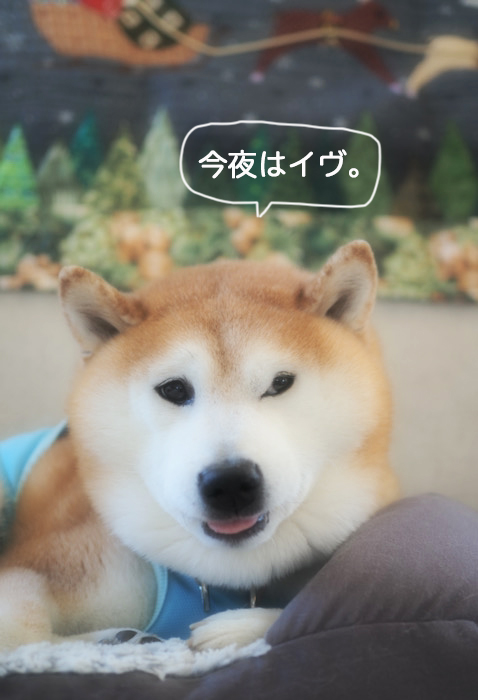 24日夜ブログ６