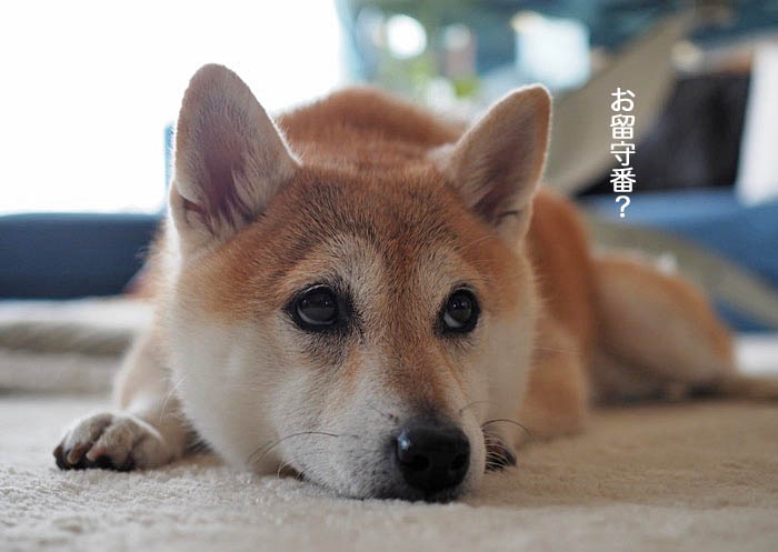 5日夜ブログ２