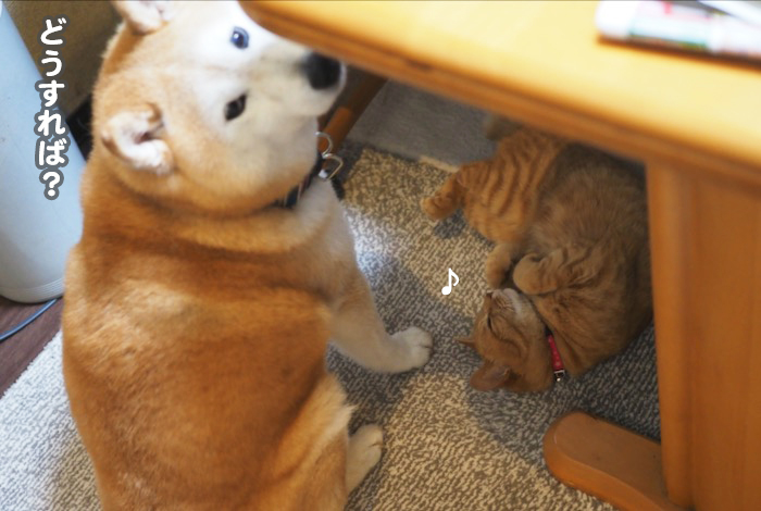 14日ブログ３