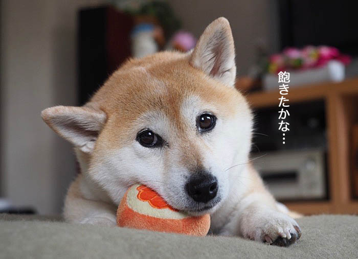 24日ブログ８
