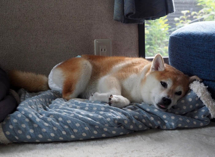 18日ブログ１