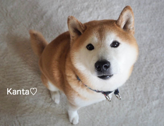 20日ブログ7