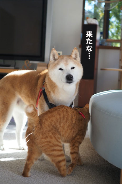 7日夕ブログ３