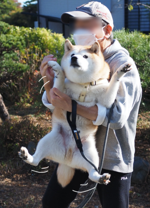 20日夕ブログ６