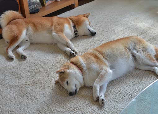 9日ブログ6.jpg