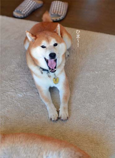 17日ブログ8.jpg