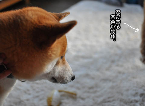 22日ブログ5.jpg