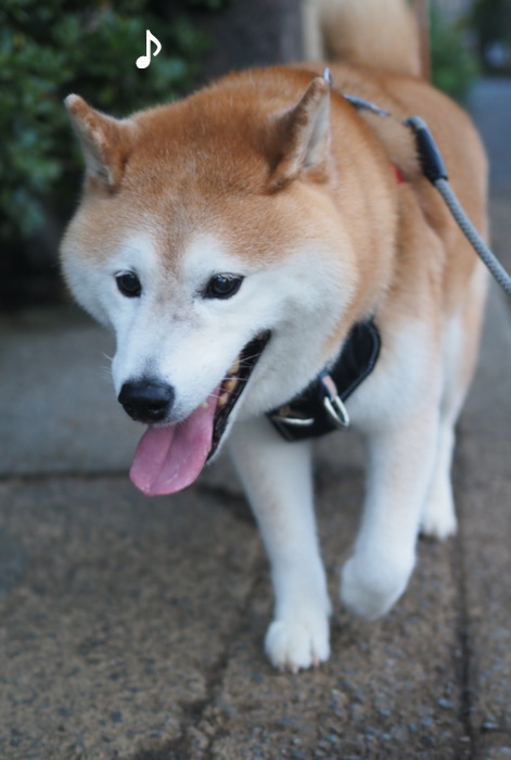 4日ブログ２