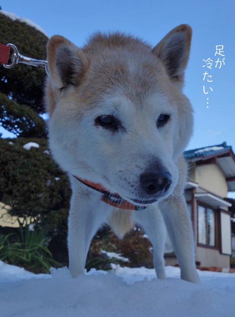 27日ブログ2