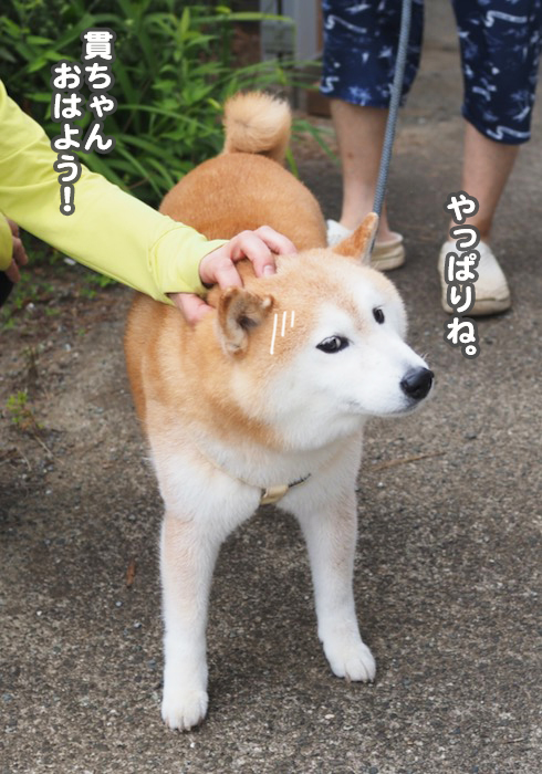 20日夕ブログ７