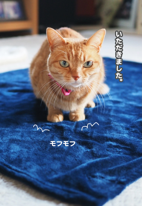 27日夕ブログ７