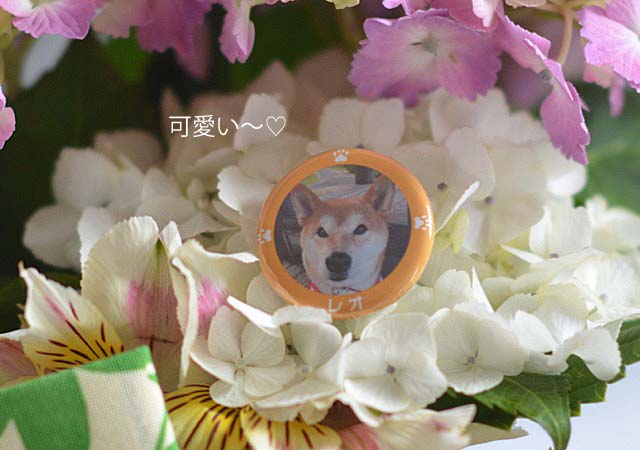 21日ブログ4