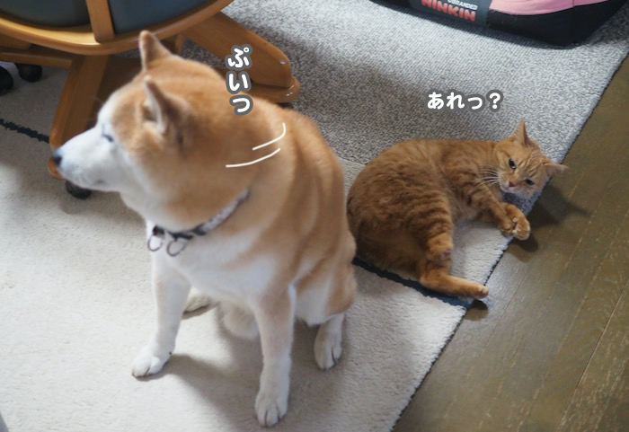 21日夕ブログ４