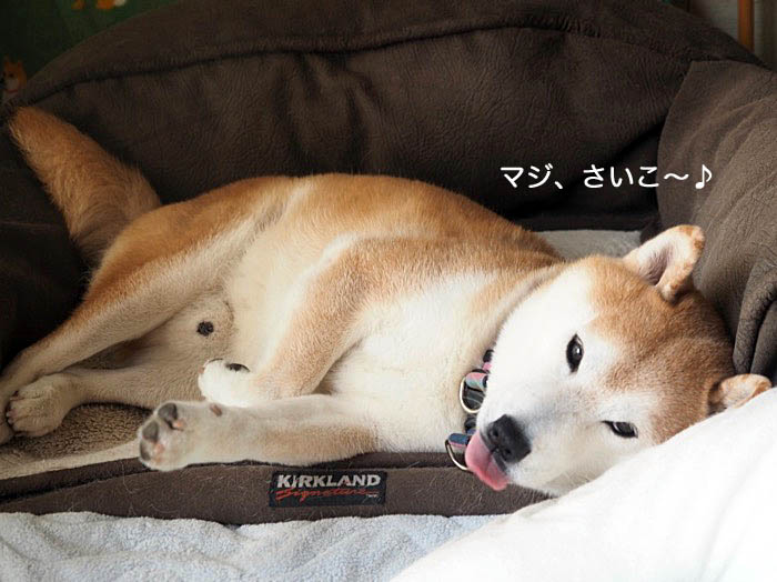 6日ブログ２