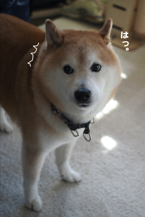 14日夕ブログ２