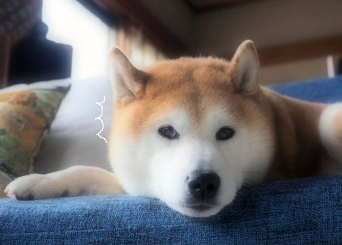 19日ブログ１