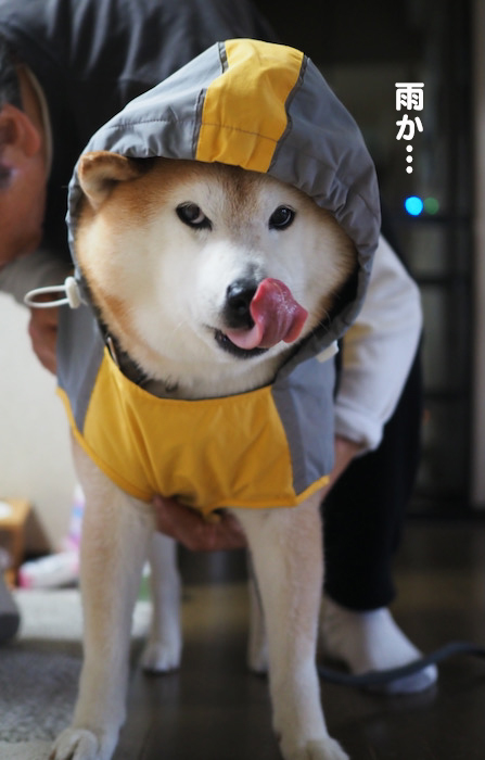 25日ブログ２