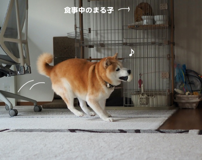 13日夕ブログ４