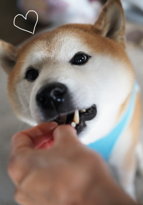15日夕ブログ６