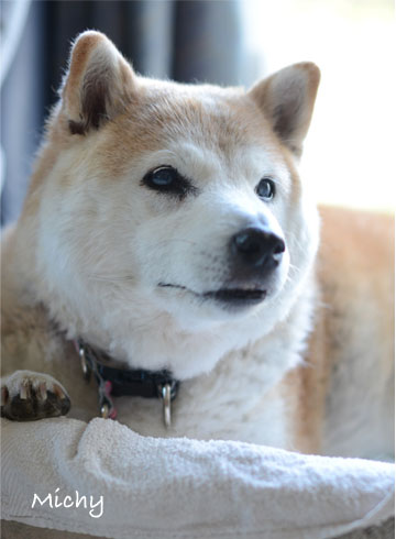 29日ブログ4.jpg