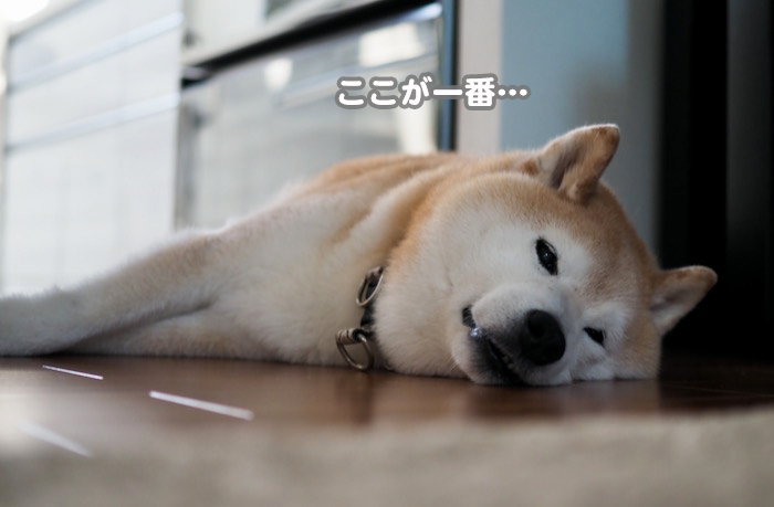 23日ブログ２