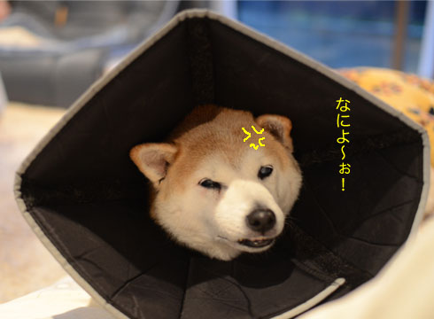 15日ブログ4.jpg
