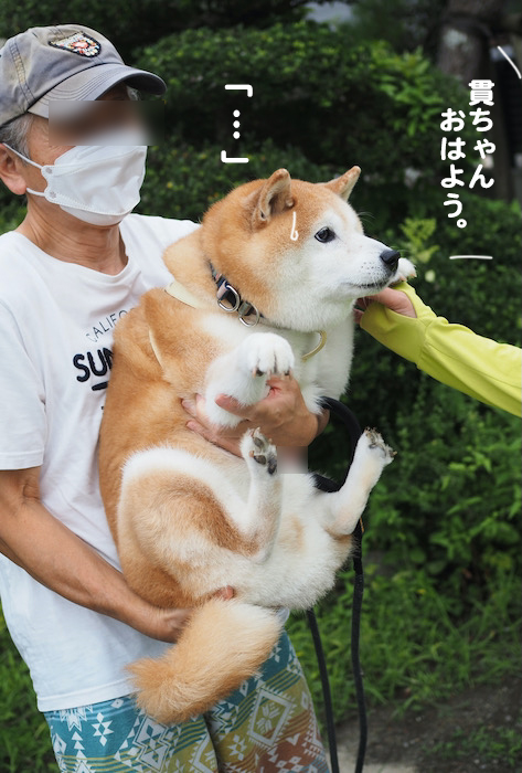 25日夕ブログ８