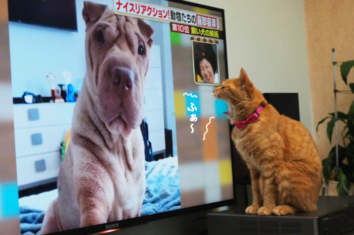 15日夕ブログ９