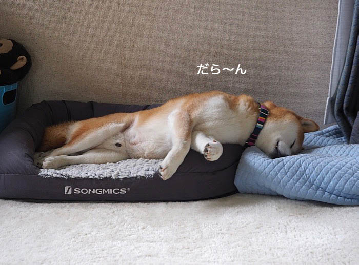 13日夜ブログ１