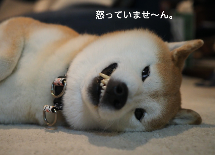 2日夜ブログ１０