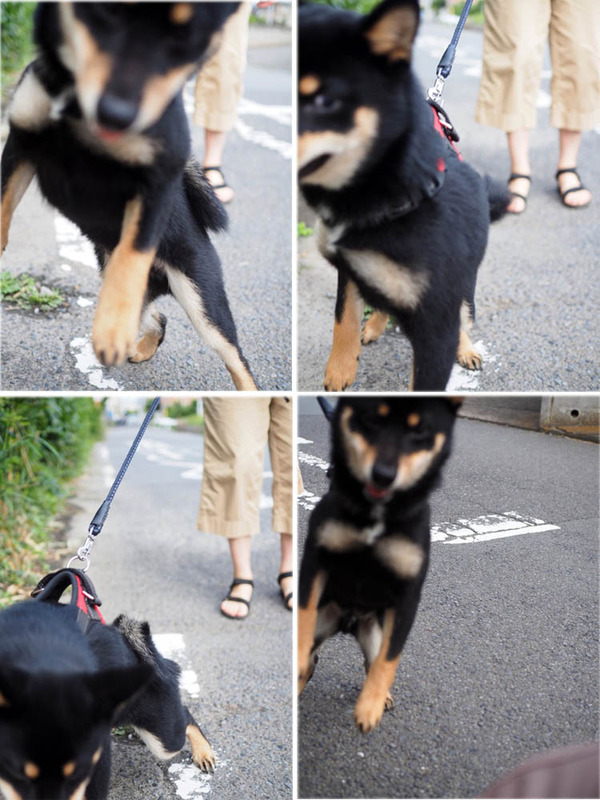 21日ブログ３