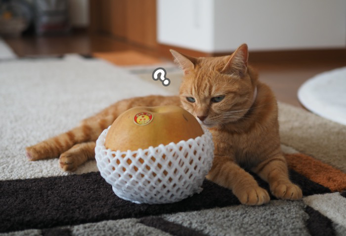 5日ブログ２