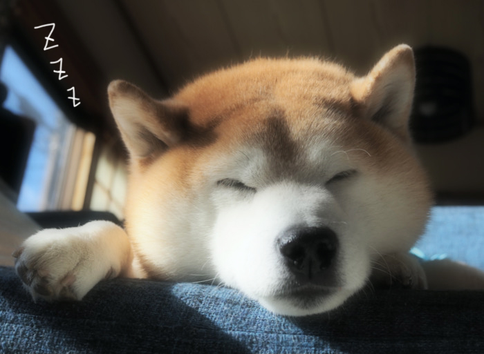 27日ブログ２