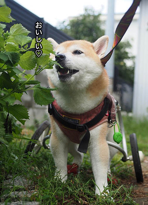 28日ブログ５