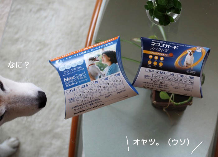 10日ブログ２