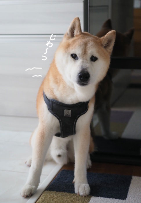 26日夕ブログ2