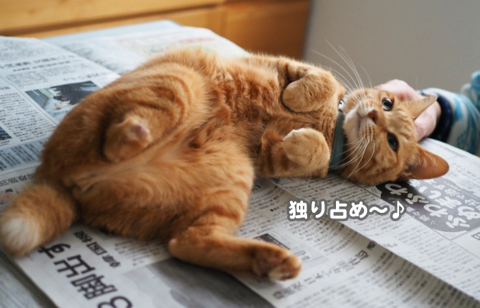 31日ブログ９