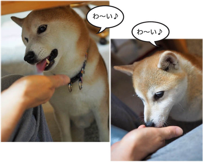 23日夜ブログ６
