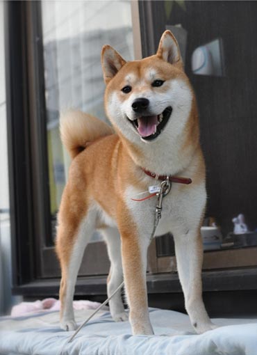 29日ブログ7.jpg